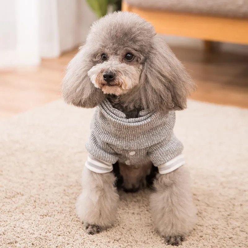 

New pet cotton-padded clothes Teddy Bomei puppy dog autumn and winter clothes thick warm little dinosaur dog clothes