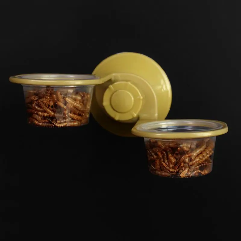 Wall Hanging Feeding Dish Bowl Spider Breeding Box Tank Pot Supplies Suction Cup Reptile Water Food Feeder | Дом и сад