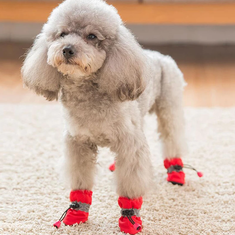 4 шт./компл. нескользящая обувь на шнурке для домашних питомцев Тедди малышей