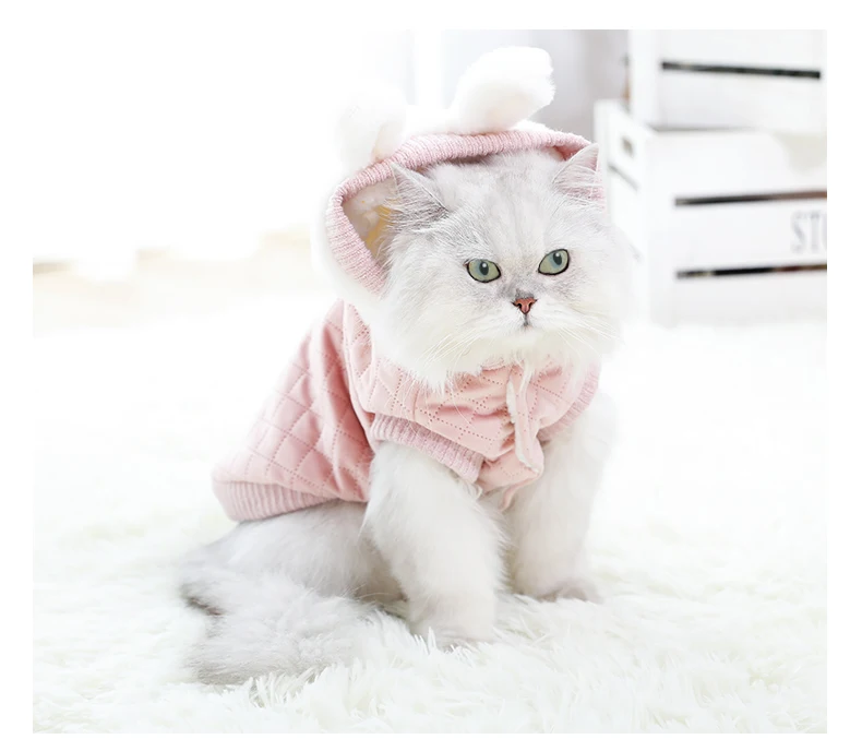 Теплая одежда для кошек HOOPET, зимняя куртка для питомцев, щенков, котят, пальто, толстовки для маленьких и средних собак, кошек, чихуахуа, одежда, костюм
