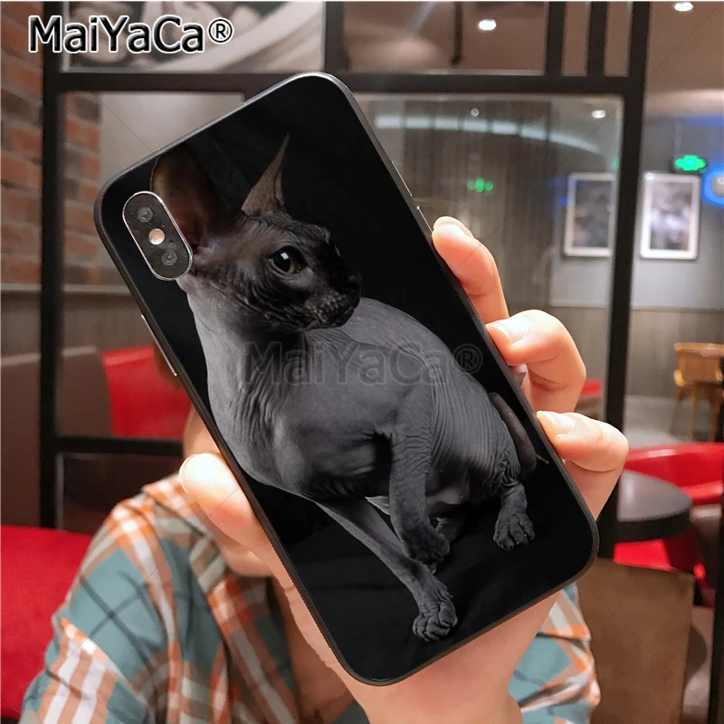Уникальный силиконовый чехол sphynx cat для iphone 11 12 Pro 6S 6plus 7 7plus 8 8plus X 5 5S Чехол 12mini |