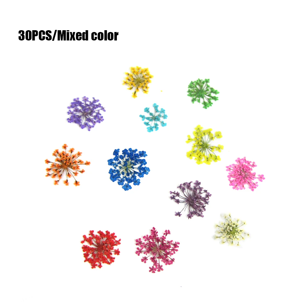 Прессованный высушенный цветочный сухой подвеска с плодами растений ожерелье