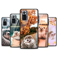 cute hedgehog outing tempered glass cover for xiaomi redmi note 10 10s 9 9t 9s 8t 8 9a 9c 8a 7 pro max phone case