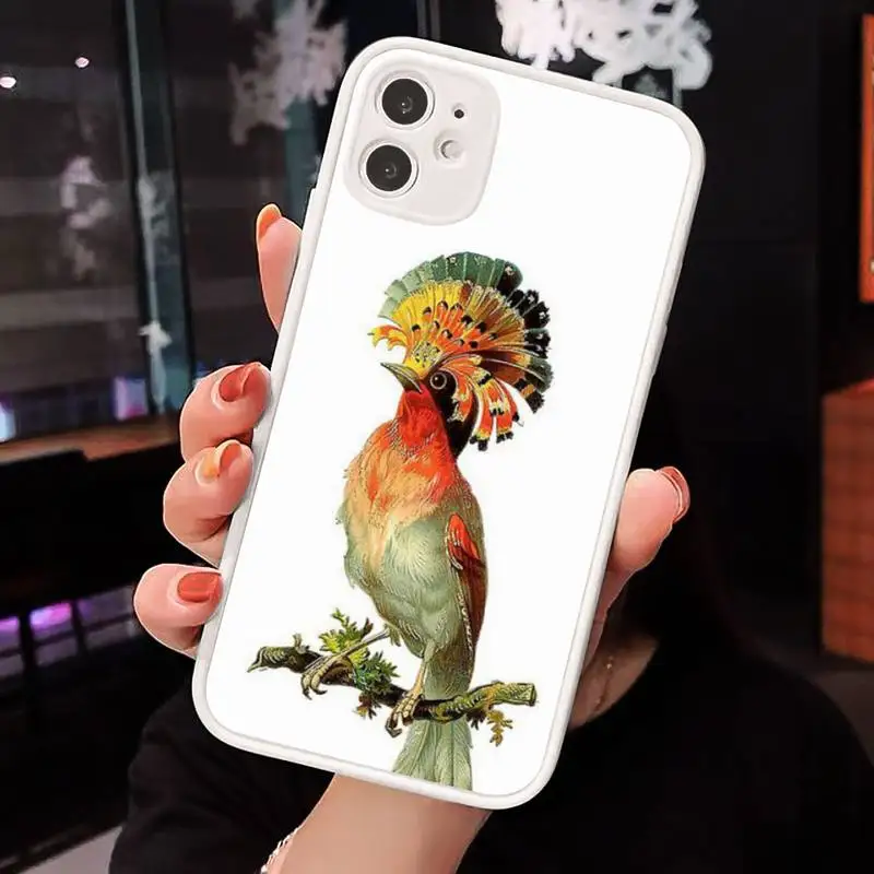 

Phone Case For iPhone 12 11 Mini Pro XR XS Max 7 8 Plus X Flower Bird Parrot Matte transparent White Cover