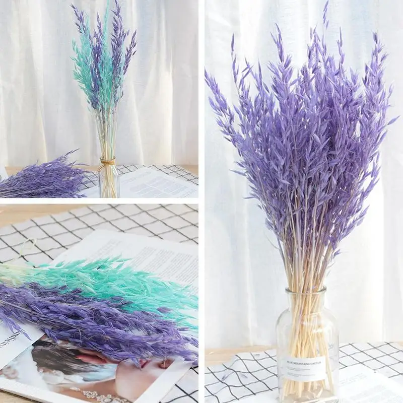 

50pcs Natural Plant Colored Oat Dried Flower Hay Bouquet Modern Ceremony Decoration Flower Wedding Home Decoration D5R5