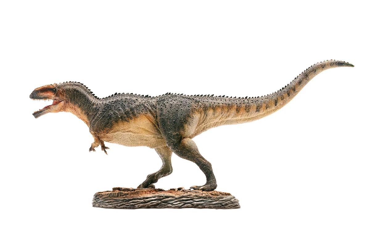 PNSO-Serie de museo de dinosaurios: Lucas el giganosaurus 1:35, modelos de arte cient&iacute;fico-0