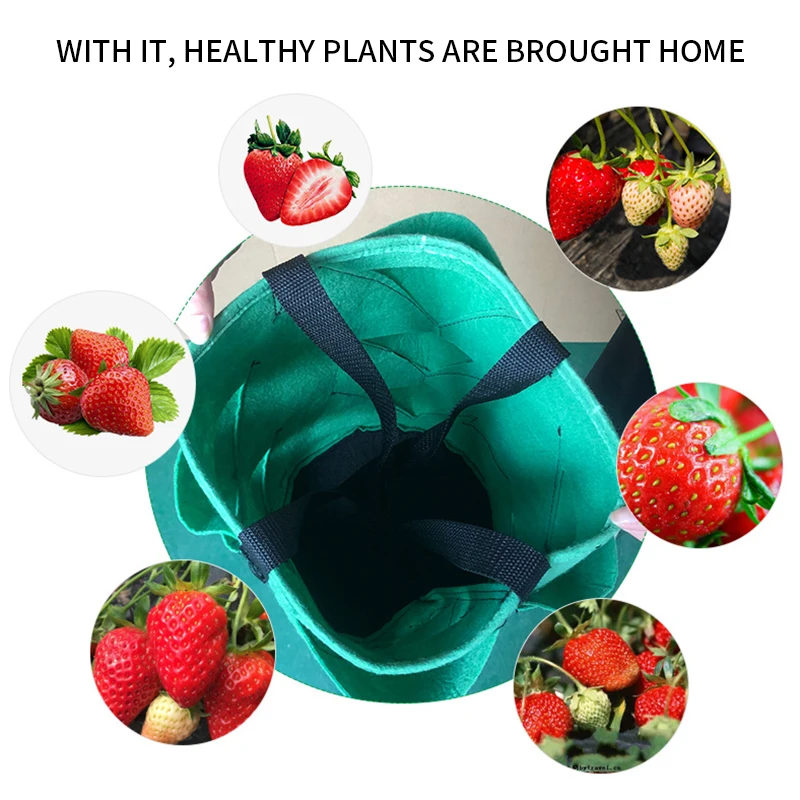 3 галлона сажалка для клубники ткань клубника посадки мешок дышащая горшок с
