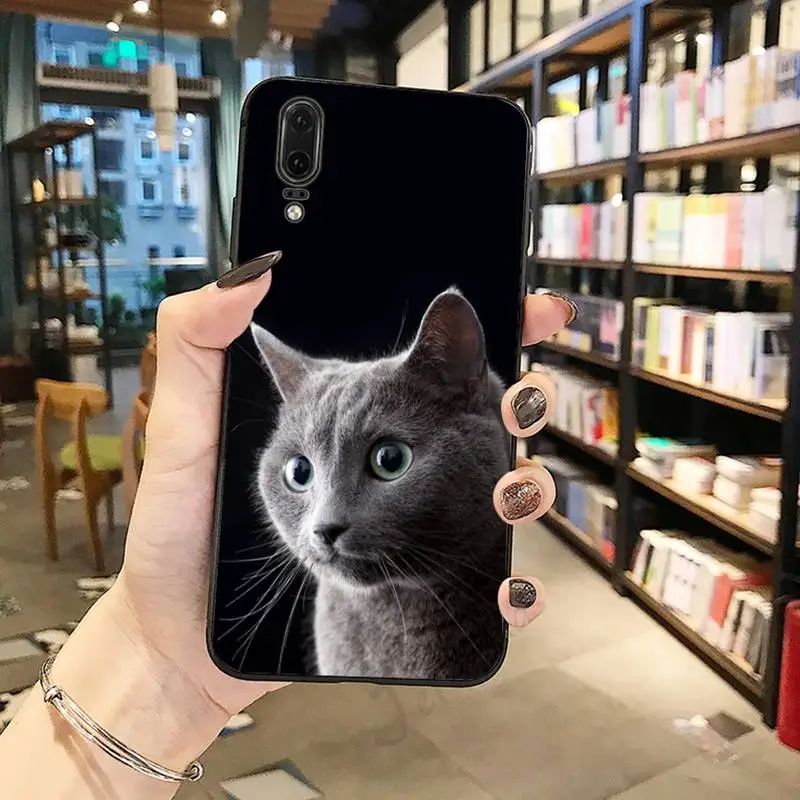 

Chartreux cat Cute animal Phone Case For Huawei honor Mate P 10 20 30 40 Pro 10i 9 10 20 8 x Lite