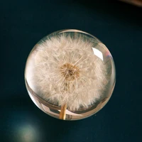 real dandelion crystal glass resin lens ball natural plants specimen feng shui flowers christmas love gift home decor with box