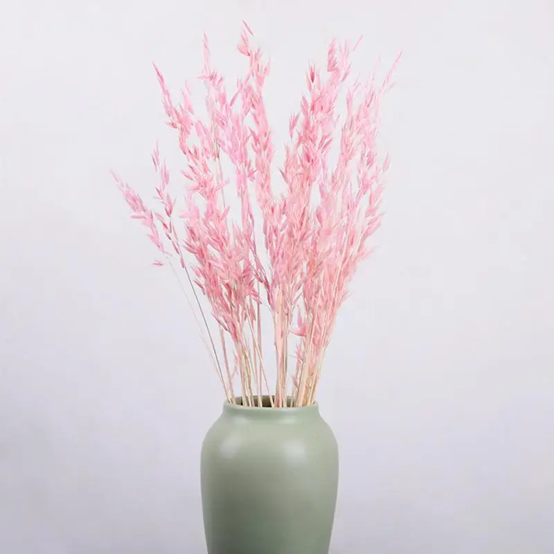 50 шт./лот натуральный сушеный цветок геркон букет цветов для свадьбы украшения