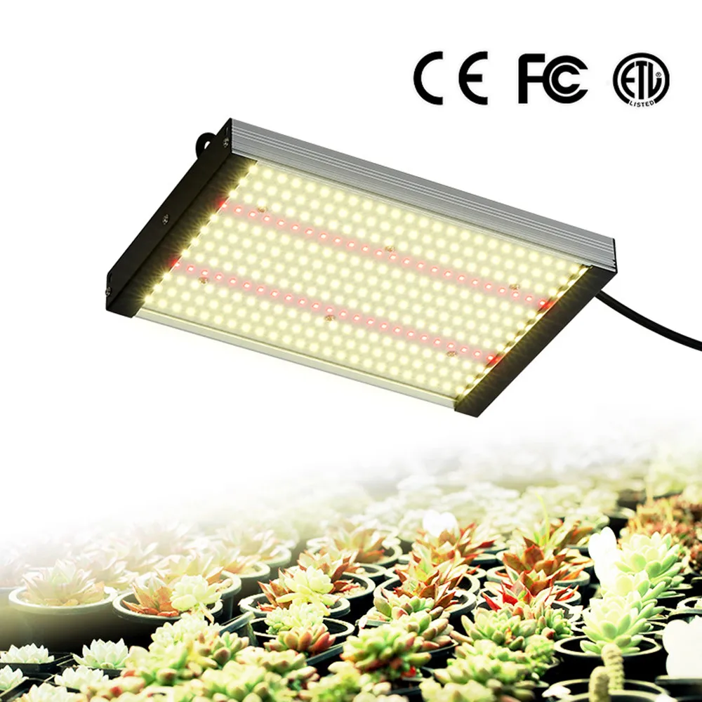 1000W 2000W 30000W Samsung/Mean Well Power Led Quantum Grow Plant Light Low Heat No Noise For Indoor Tent Vegetable Flower