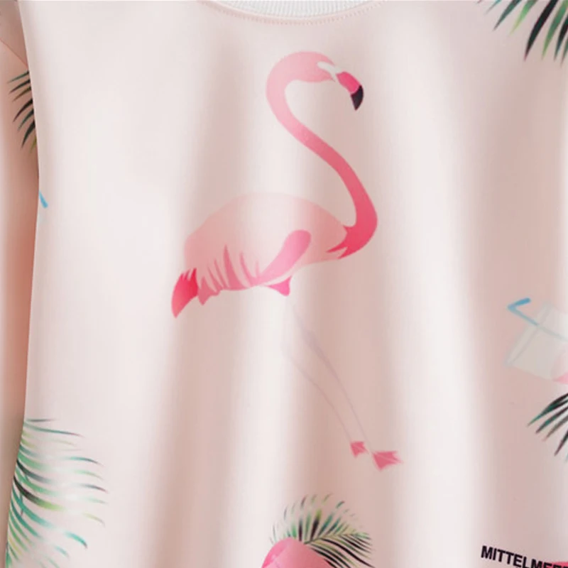 Худи женское с длинным рукавом и принтом фламинго | Женская одежда