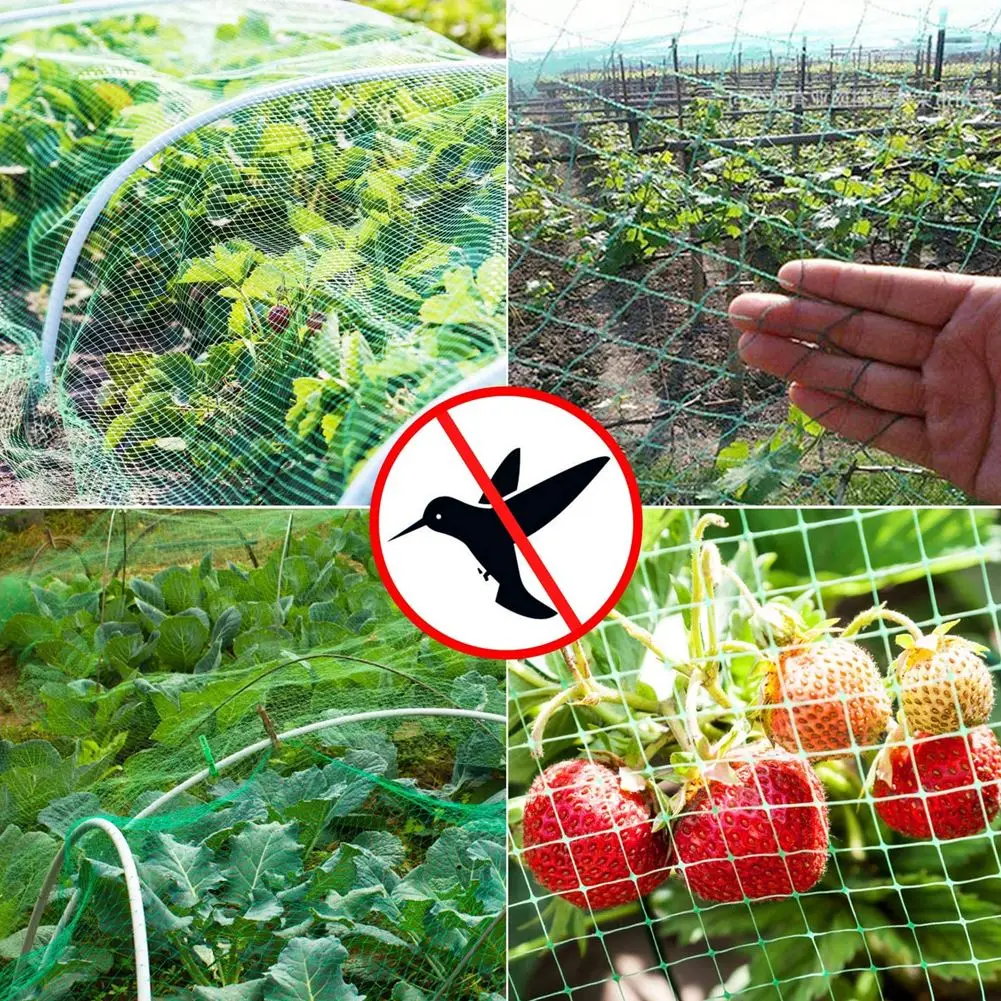 

Anti Bird Netting Net Garden Plant Climbing Net Fence Crops Protective Fencing Mesh Anti Deer Cat Dog Chicken Net Fishing Net