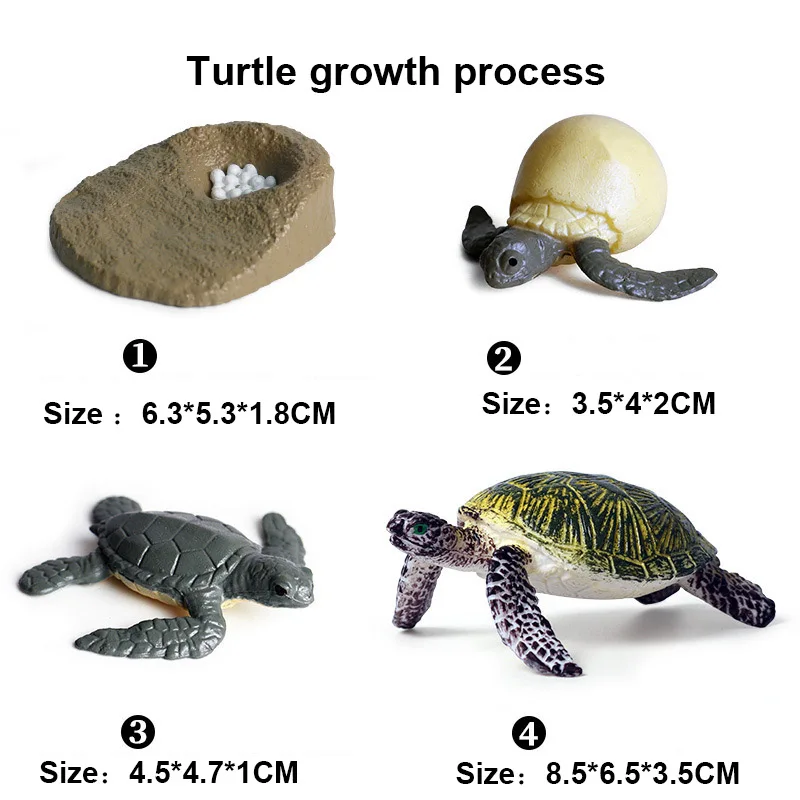 

Simulation Animals Growth Cycle Action Figures Collection Miniature Cognition Educational Toy For Children Birthdays Gift