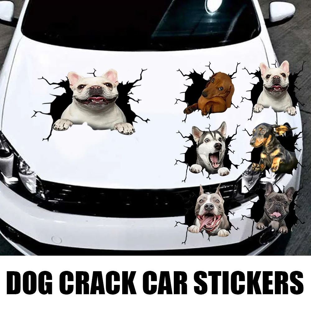 

New Animals Crack Car Sticker Paper Simulation Innovative Glass Window Sticker Car Decoration