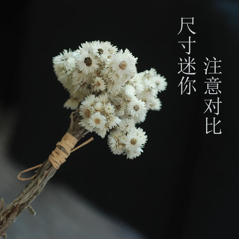 

1pcsEternal Dried Flower Rock Flower Bouquet High-End Soft Outfit Flower Arrangement Accessories Ins Style Artistic Fresh