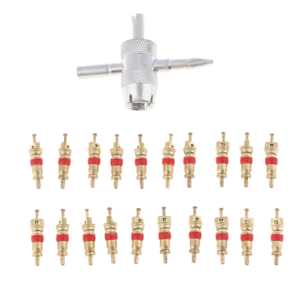 

21Pcs Aluminum Tire Valve Stem Core Part with Head Valve Core Remover