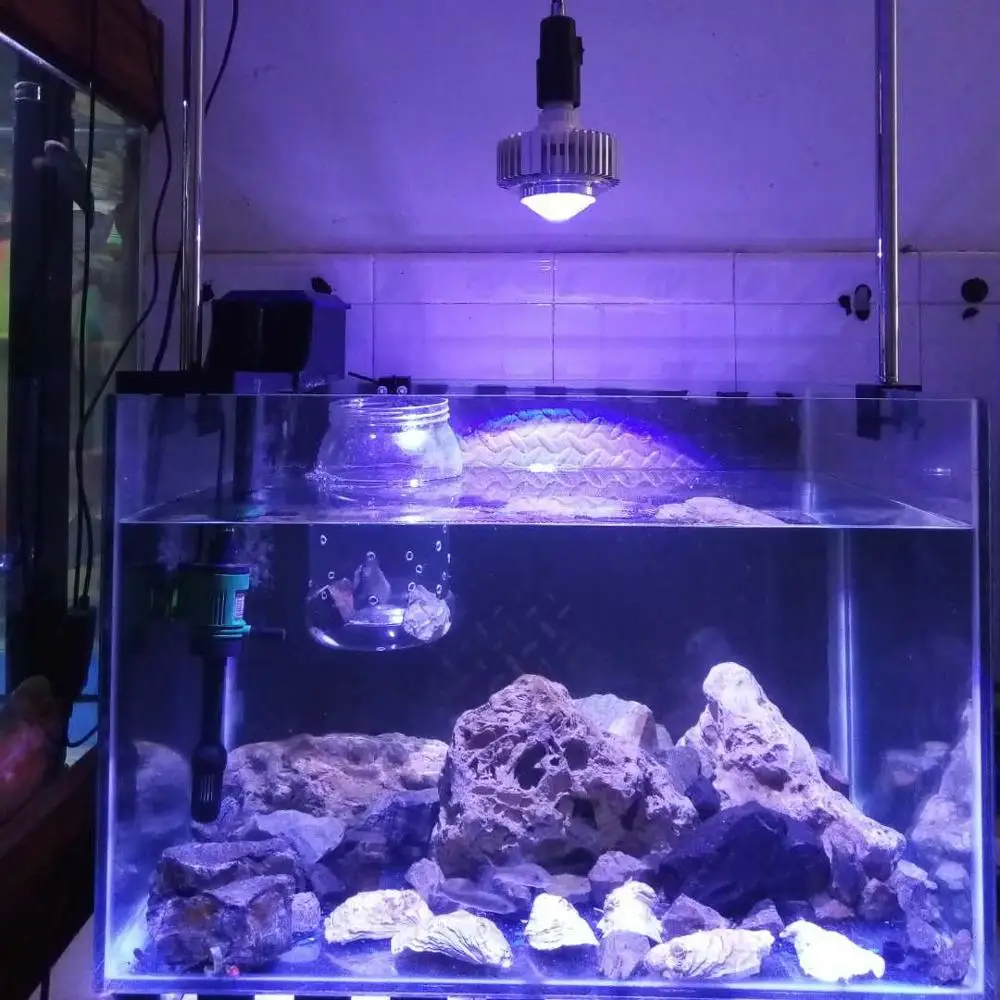 Светодиодная лампа для аквариума 20 Вт на заказ|lamp led grows|led growled aquarium lamp |