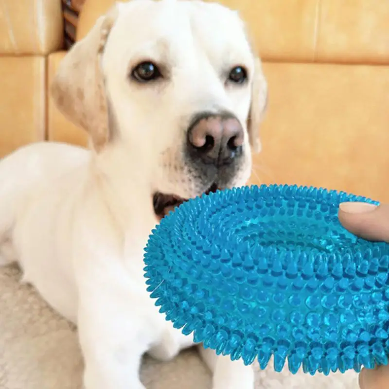 

Puppy Pet Toys for Small Dogs Resistant To Bite Rubber Circle Dog Toy Teeth Cleaning Chew Training Toys Pet Supplies
