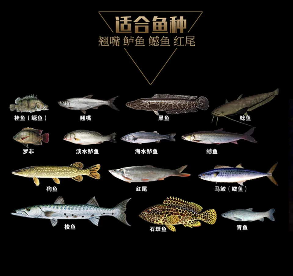 

Fishing Pesca Hard Bait 12.5g/ 12.5cm 3 Hook Bionic Bait Far Into The Minoan Sea Lures Fishing Lure for Fishing Hard