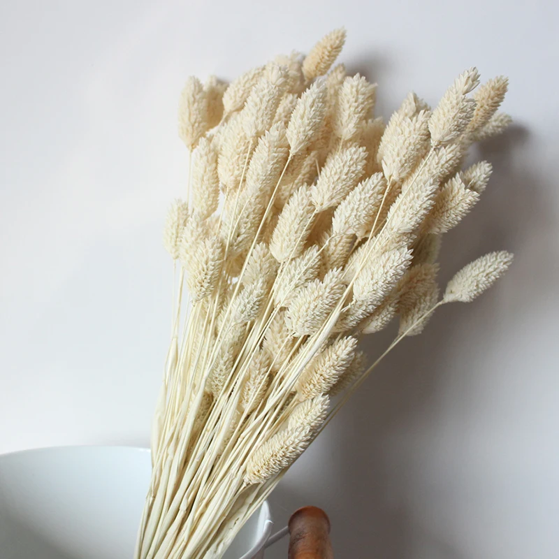 

Bunch(1 Bunch=20Pcs) Dried Flowers Bouquets Natural Simulation PlantsFor Home Decoration Living Room Wedding
