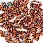 10-20 мм натуральные красочные ракушки раковины Cowrie раковины россыпью пляжные морские раковины DIY для изготовления ювелирных изделий браслет 10 шт.