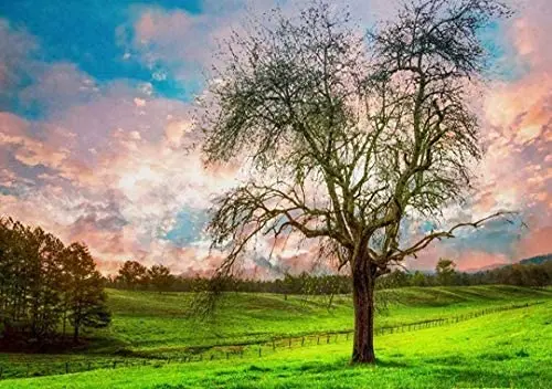 

Plants Pastures Clouds Sky Metal Sign Retro Man Cave Home Wall Decoration 12X16 inch