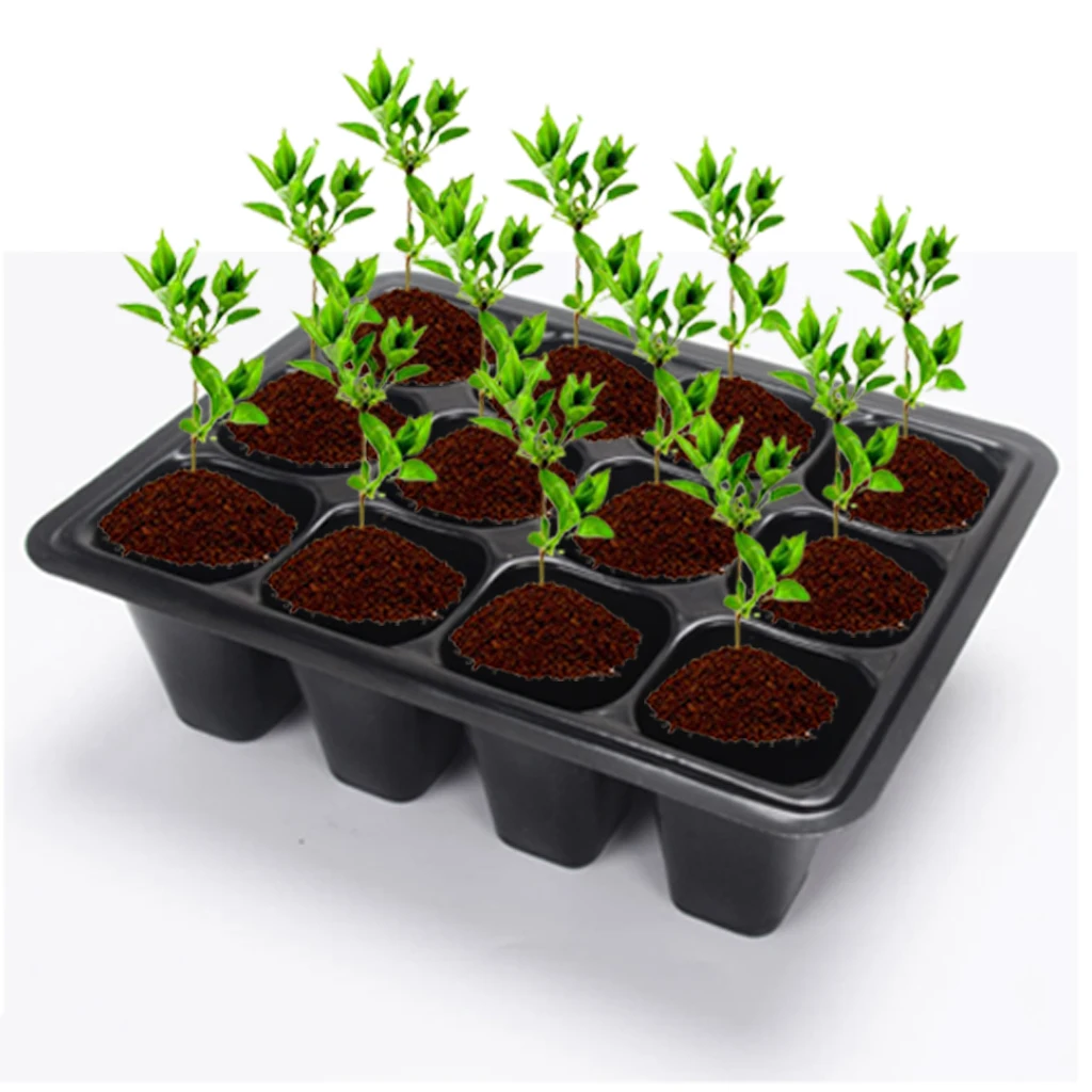 10 упаковок стартовый поднос для рассады с куполом и основанием 12 ячеек