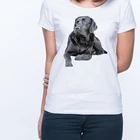 Футболка женская в стиле Харадзюку, летняя футболка с изображением собаки, Лабрадора в стиле панк, Корейская Эстетическая футболка 90-х годов, одежда kpop