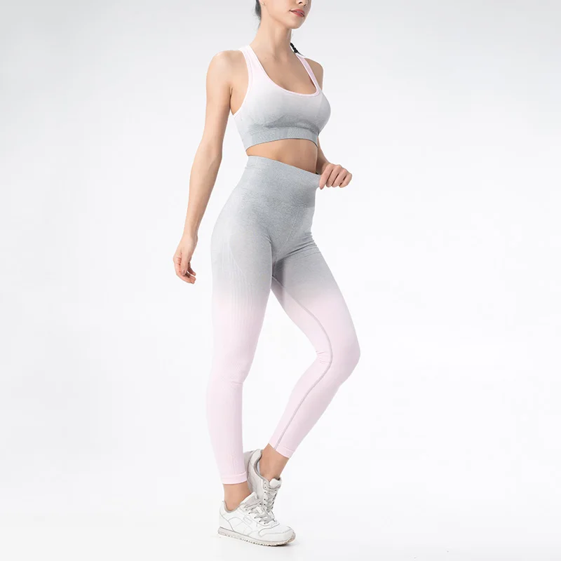 Gray powder suit Спортивный костюм женскийНабор из двух частейспортивные костюмы женскиебесшовныйкостюм для фитнесаКомплект одежды для йогиТренажерный зал - Цвет: Gray powder suit