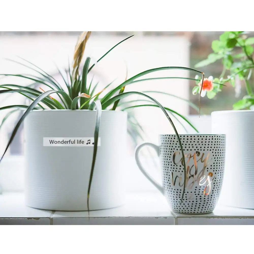 Unistar совместимая этикетка кассета для DYMO LetraTag Refills 91331 белая пластиковая лента 12