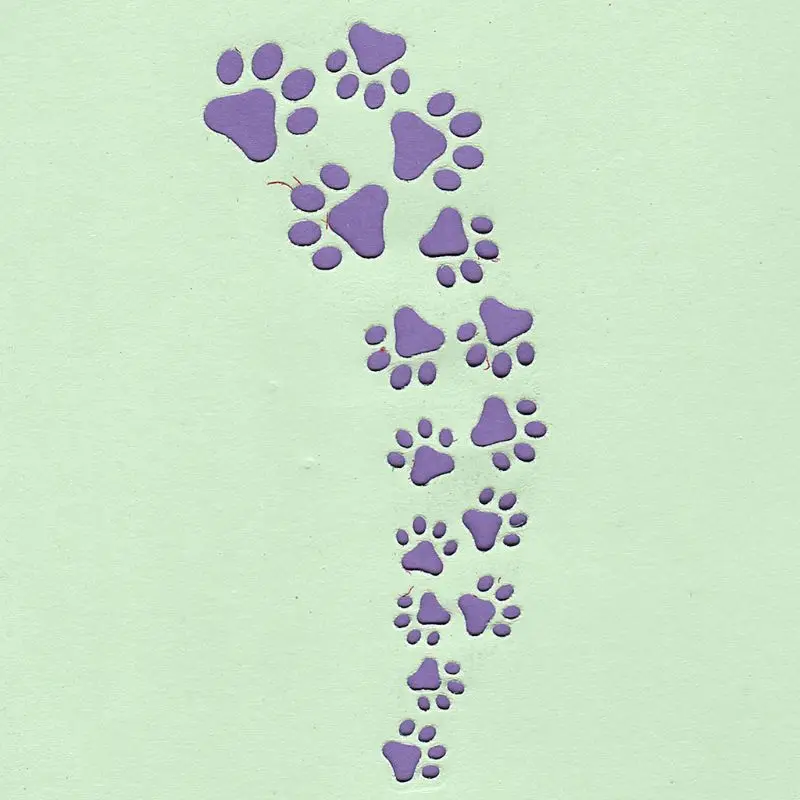 Симпатичные След металлический Трафаретный вырубной штамп трафарет для