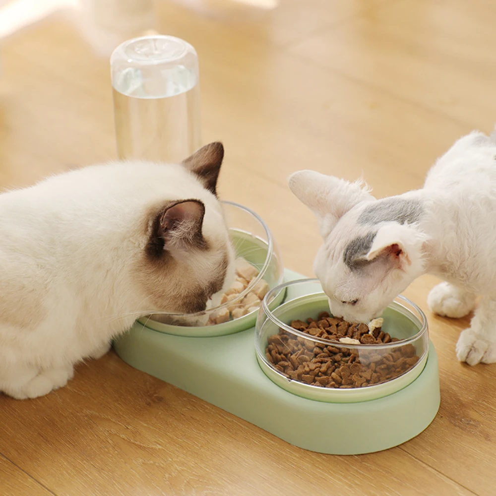 

Automatic Cat Bowl Water Dispenser Water Storage Pet Dog Cat Food Bowl Food Container with Waterer Pet Waterer Feeder