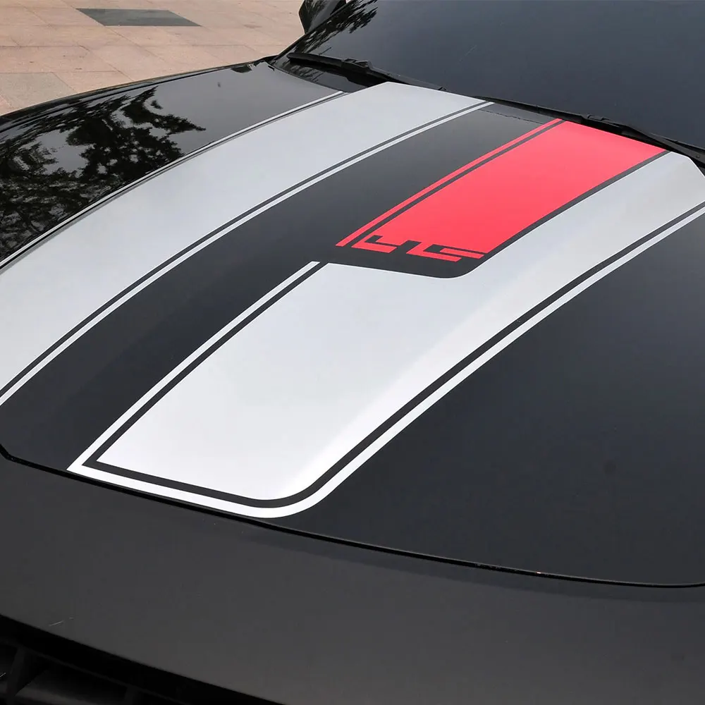 DSYCAR 1 комплект Автомобильный виниловый передний капот и задний в полоску