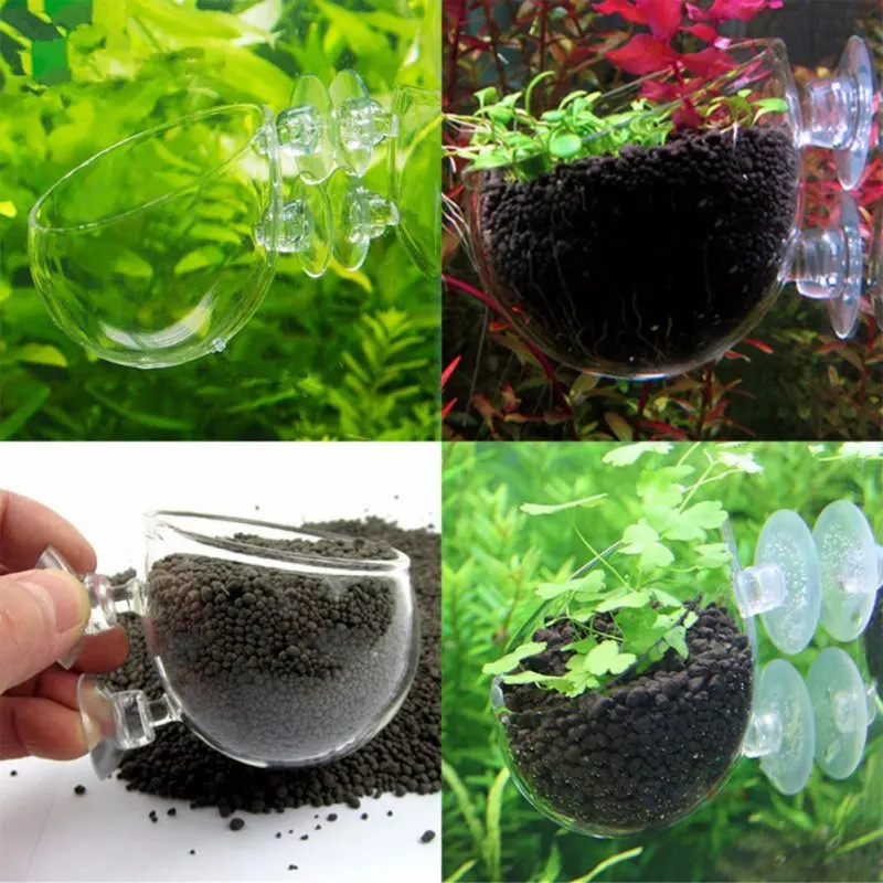

Fish & Aquatic Pet Supplies, Cultivation Cup Aquatic Plant Cup Pot with Suction Cups for Fish Tank Aquarium