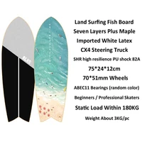30inch land surfing 007 skateboard street cruise cx4 truck fish board skater beginner ski practice simulation surfing training