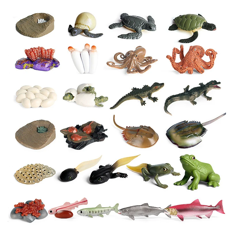 

Children's Simulation Wild Animal Toys Spider Butterfly Insect Animal Evolution Model Science Education Cognition Action Figures