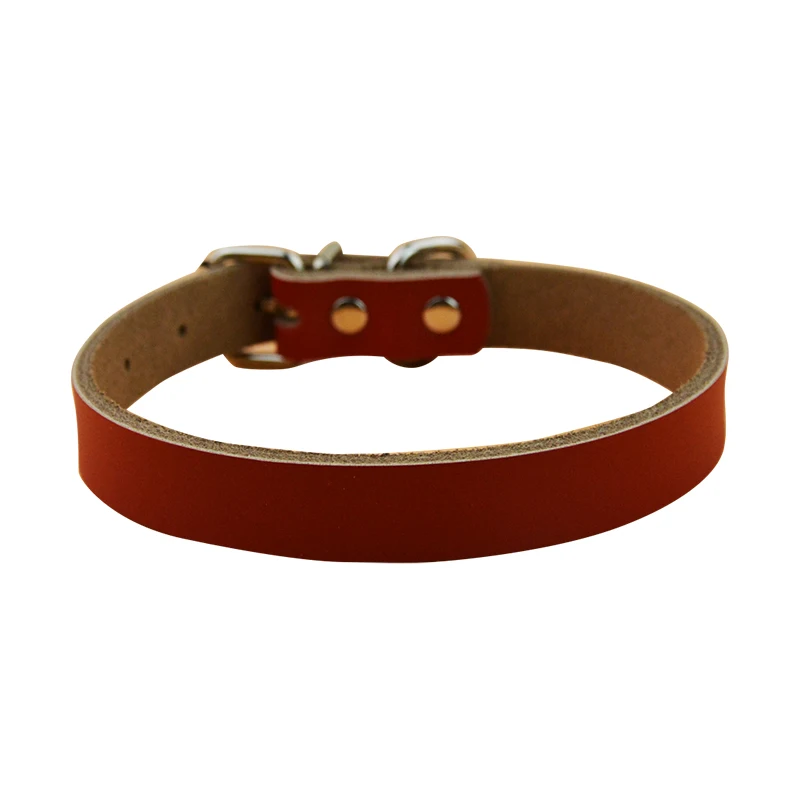 Лидер продаж персонализированный ошейник для домашних животных XS/S/M маленьких и