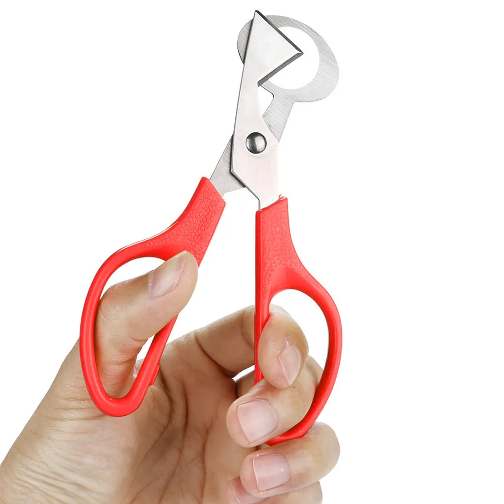 Egg Pigeon Quail Scissors Cracker Opener Cigar Cutter Stainless Steel Tool Housewife Clipper Accessories Gadgets Кухонные | Дом и сад