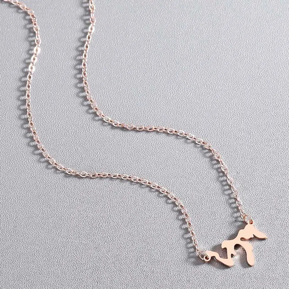 Chandler Great Lakes Map Necklace Rose Gold Dainty Geometry Link Chain Statement Small Pendant Memory Birthday Gifts Wholesale | Украшения