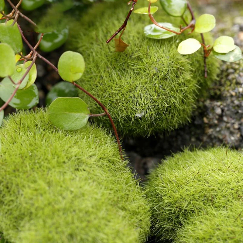 

4pcs Artificial Moss Foam Stones Green Grass Plant Home Garden Decoration DIY Stone Moss Creative Crafts