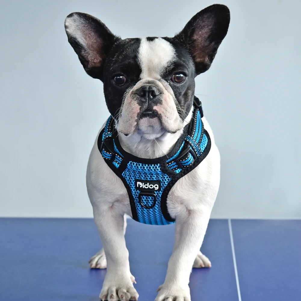Nylon Dog Harness Reflective Bull Step In No Pull Pet Pug Harnesses Adjustable for Small Medium Dogs Pitbull Puppy | Дом и сад