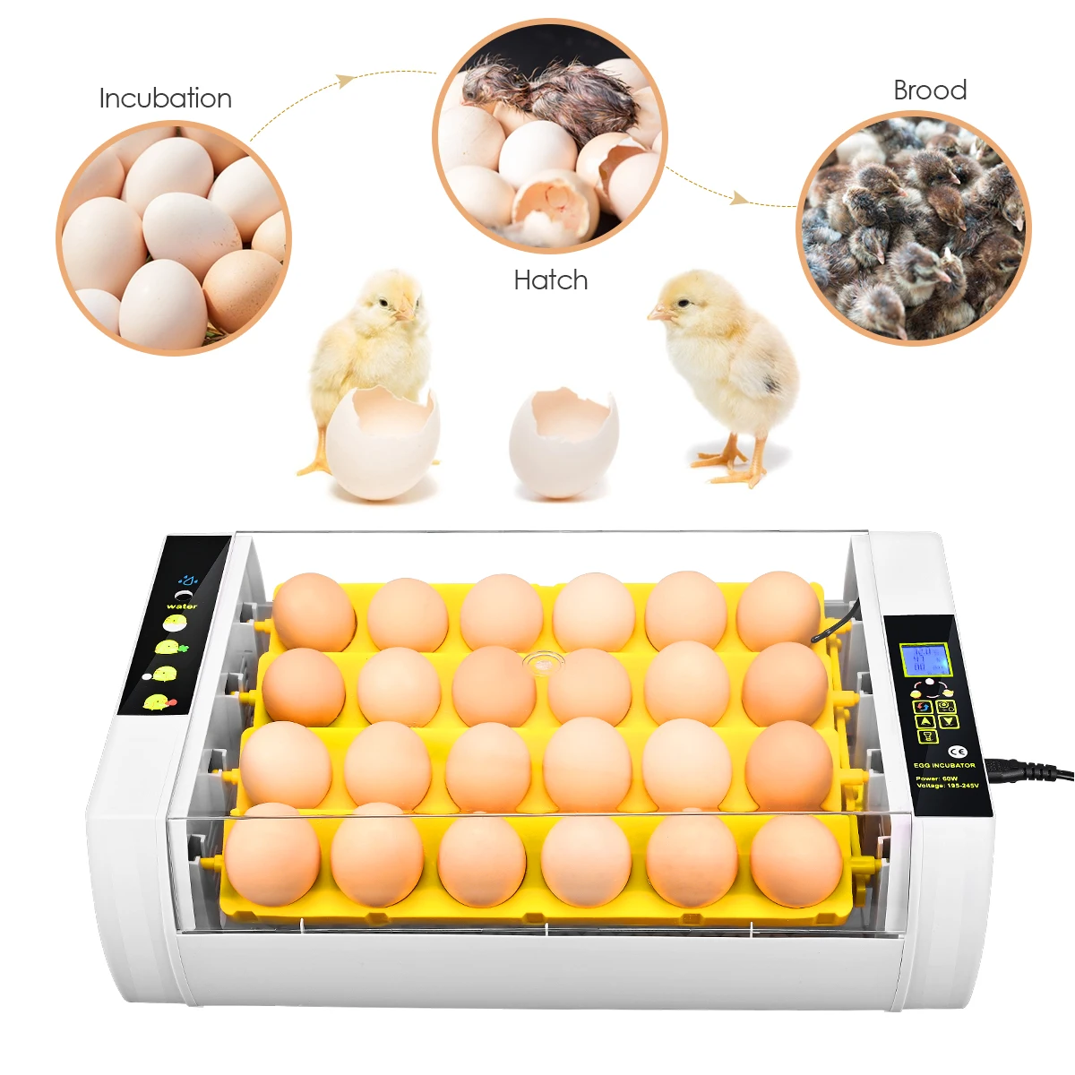 

Инкубатор для яиц, Брудер, инкубатор для перепелиных цыплят, инкубатор для птицы, инкубатор для птицы, автоматический инкубационный инструм...