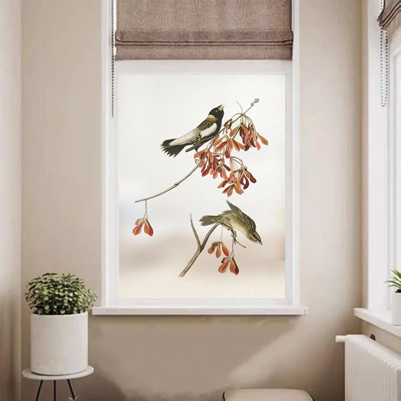 Электростатическая матовая фотопленка домашний декор дверные наклейки из