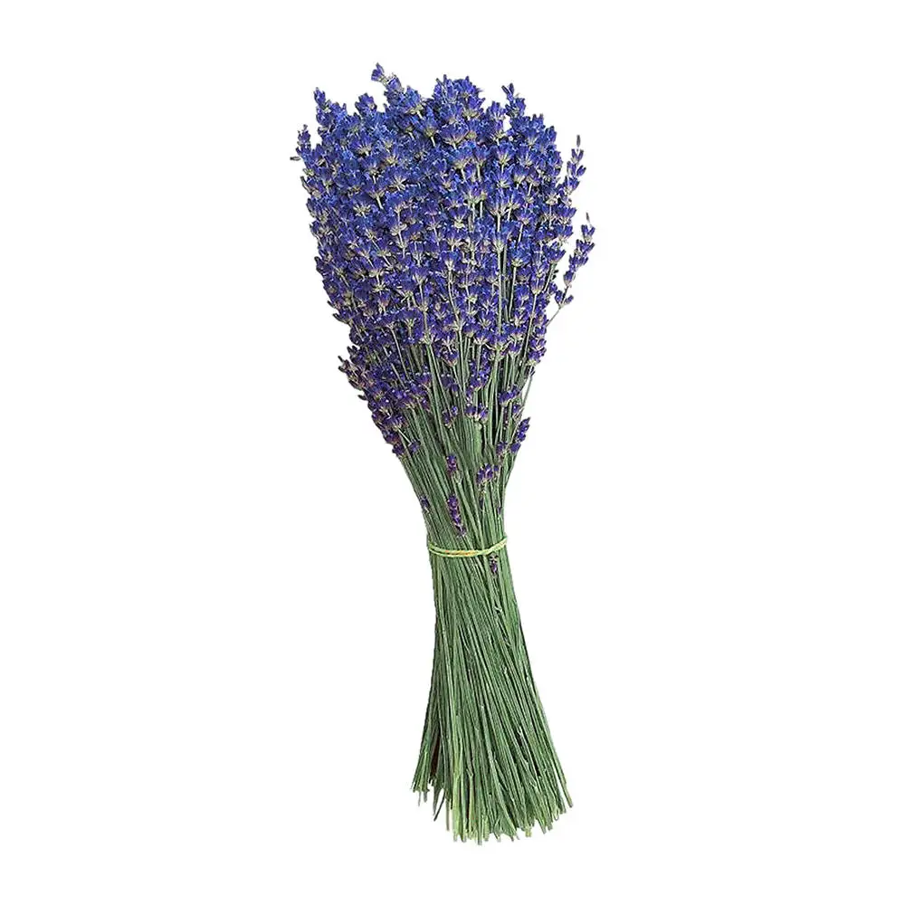 

1 Bunch Natural Dried Flower Lavender Floral Plant Bouquets Home Party Decor Party Gift Flores Wedding Decoration