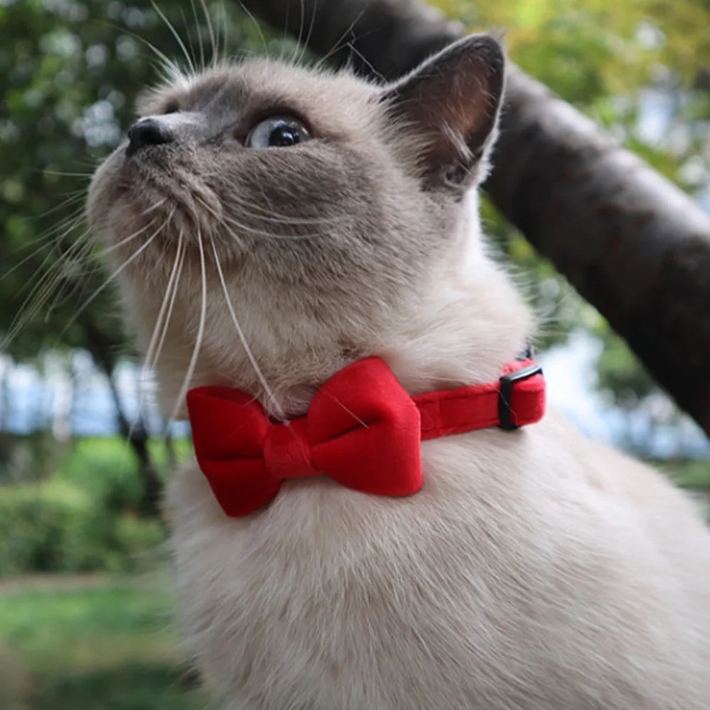 

3Pcs Pet Cats Collars with Bowtie Pretty Puppy Necklace Decorative Accessories