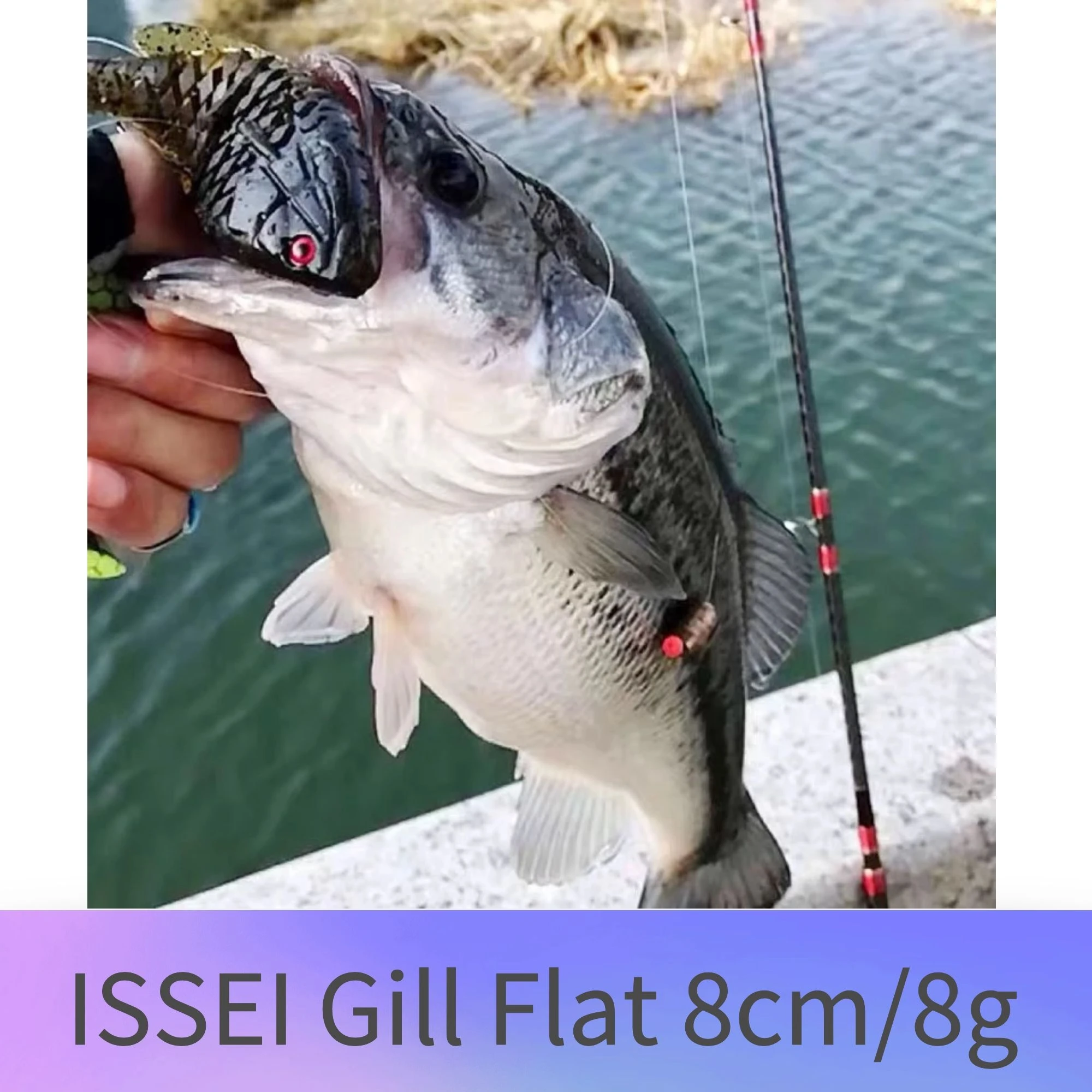 Новинка японская живая плавательная Экшн камера ISSEI жаберная плоская JR 8 г 80 мм