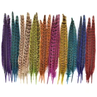20pcslot colored female pheasant feathers for decoration crafts handicraft accessories pheasant feather decor carnival plumes
