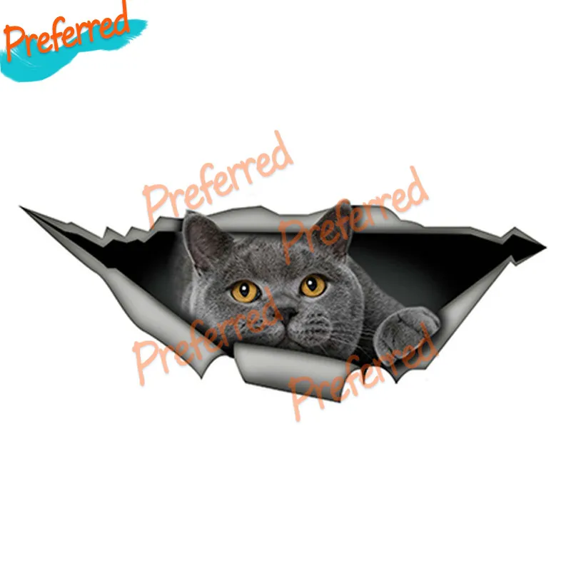

FunnyBritish Shorthair Cover Scratches Decal Motocross Racing Laptop Helmet Trunk Wall Vinyl Car Sticker Die Cutting