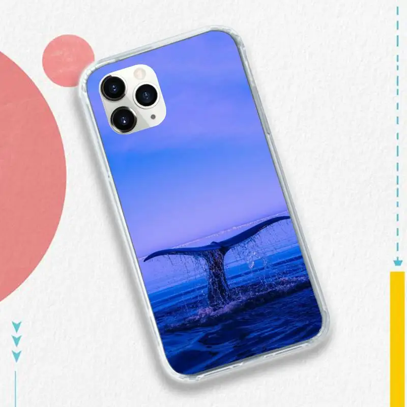 

Killer Whale Orca sea animal pattern protective coque Phone Case for iPhone 11 12 pro XS MAX 8 7 6 6S Plus X 5S SE 2020 XR